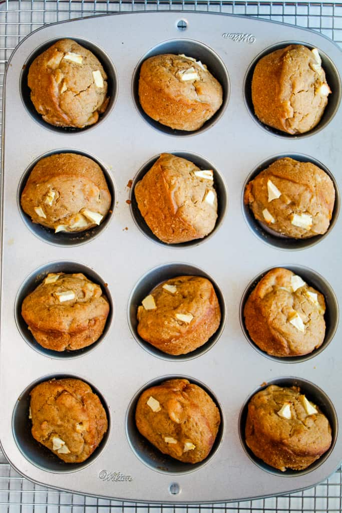 gluten free apple muffins in a muffin tin