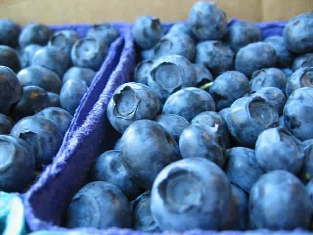 gluten free blueberry scones