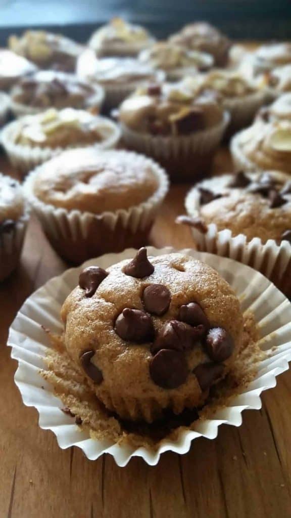 Blender Gluten Free Mini Muffins with Chocolate Chips in a muffin cup.