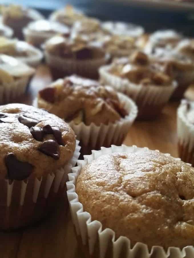 Blender gluten free mini muffins