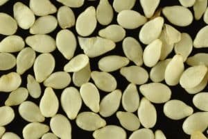 White raw sunflower seeds on a black background. They can be used to make a cream for diary free baking.