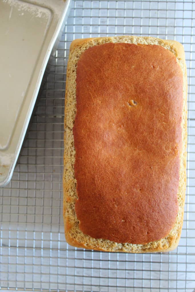 baked loaf of bread on a wire rack