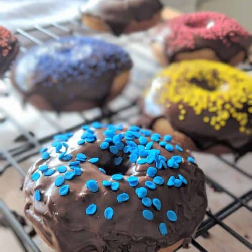 The Ultimate Gluten Free Air Fryer Donuts - Zest for Baking