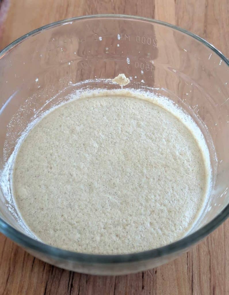 gluten free sourdough starter day 3