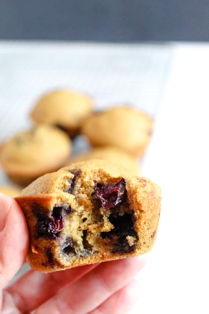 gluten free lemon blueberry muffins bite