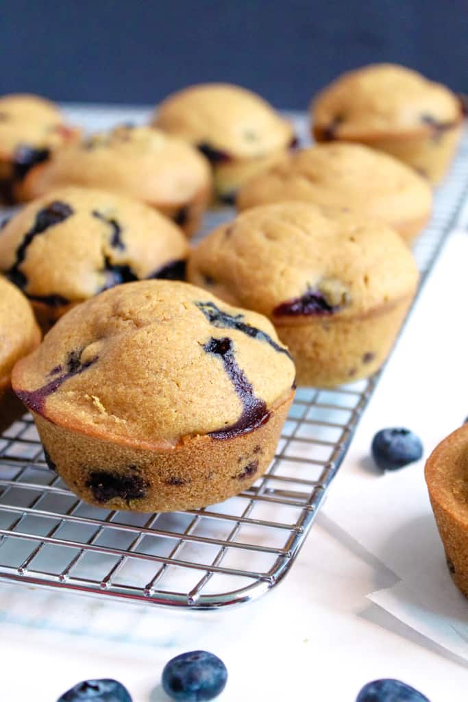 gluten free lemon blueberry muffins sitting on a wire rack