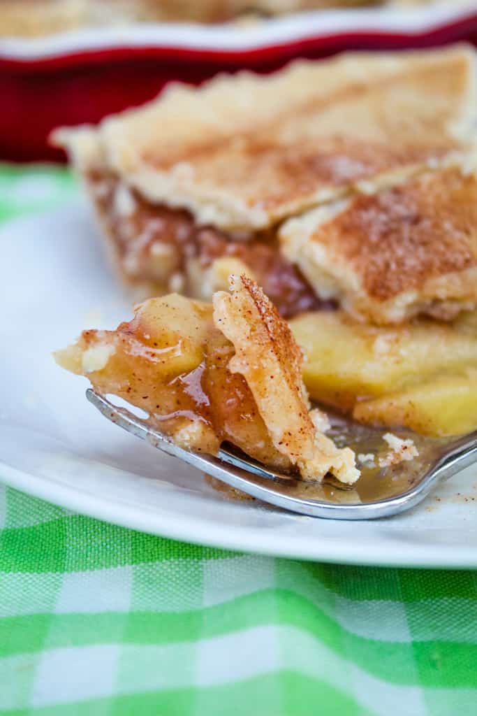 up close bite of apple pie