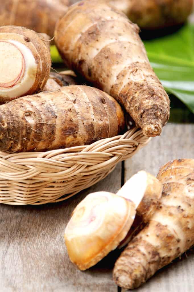 tubes of arrowroot plant.