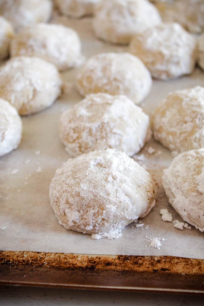 mexican wedding cookies rolled in powdered sugar on a cookie sheet.