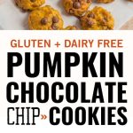 gluten free pumpkin chocolate chip coookies recipe
