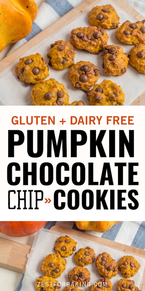 gluten free pumpkin chocolate chip coookies recipe