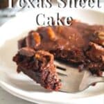 bite of Texas sheet cake.