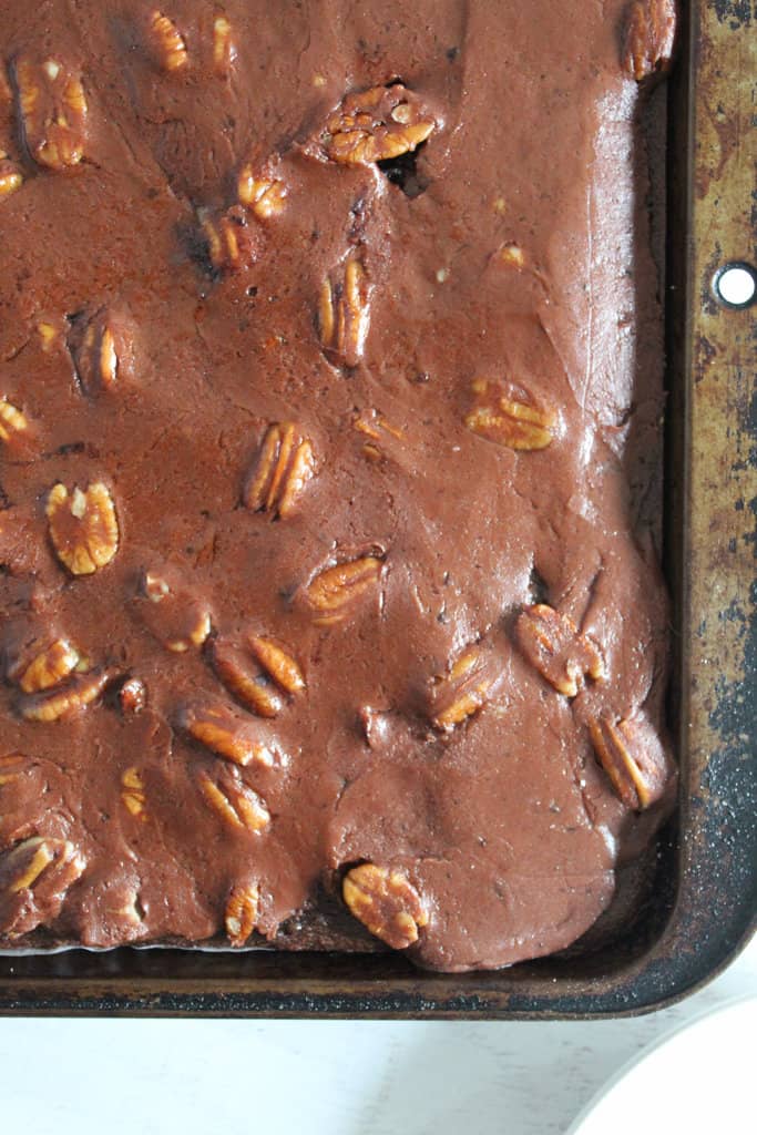 frosted gluten free texas sheet cake.