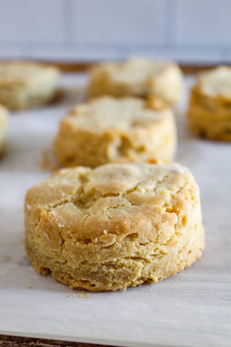 gluten free biscuit up close.