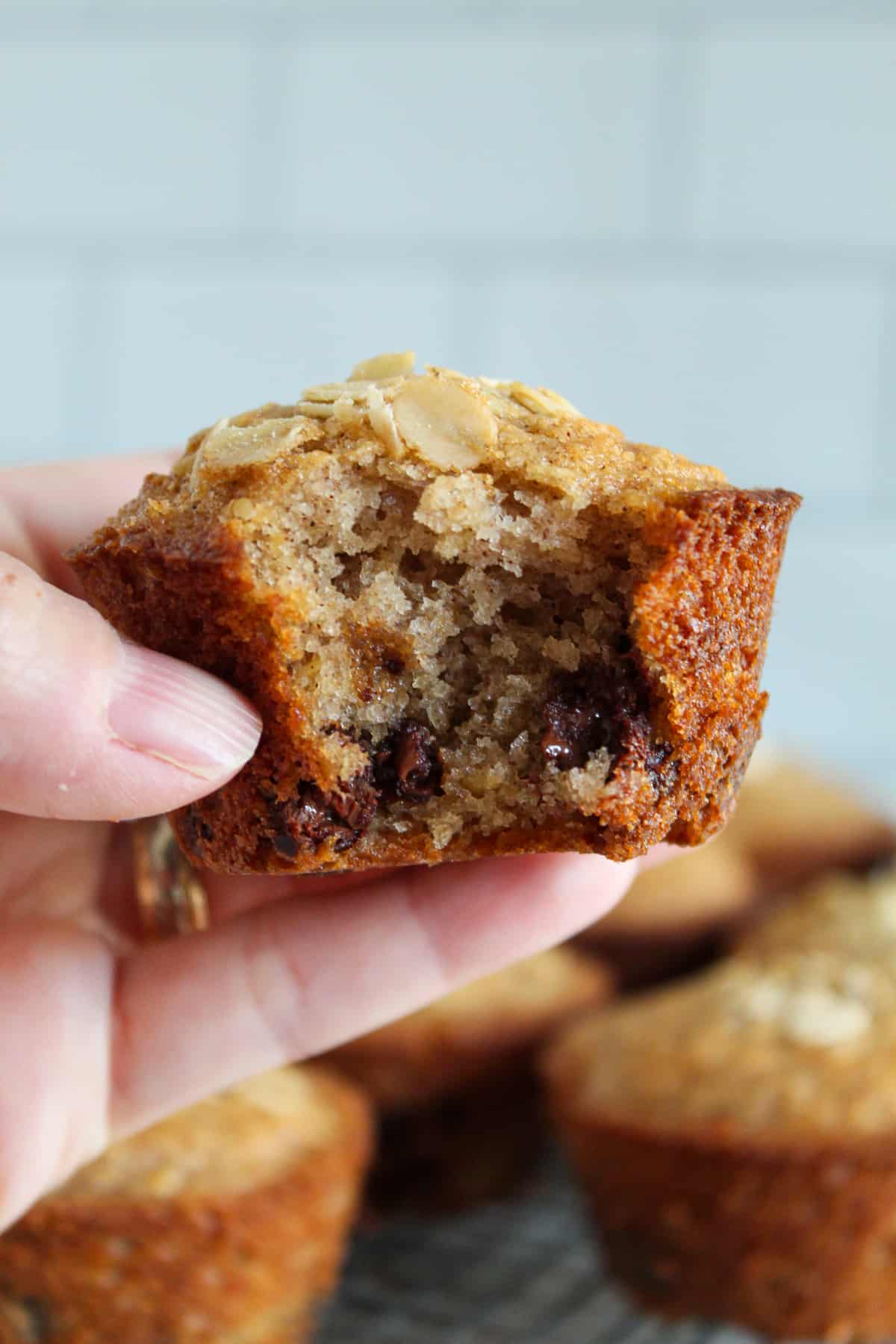 bite of an oatmeal chocolate chip muffin.