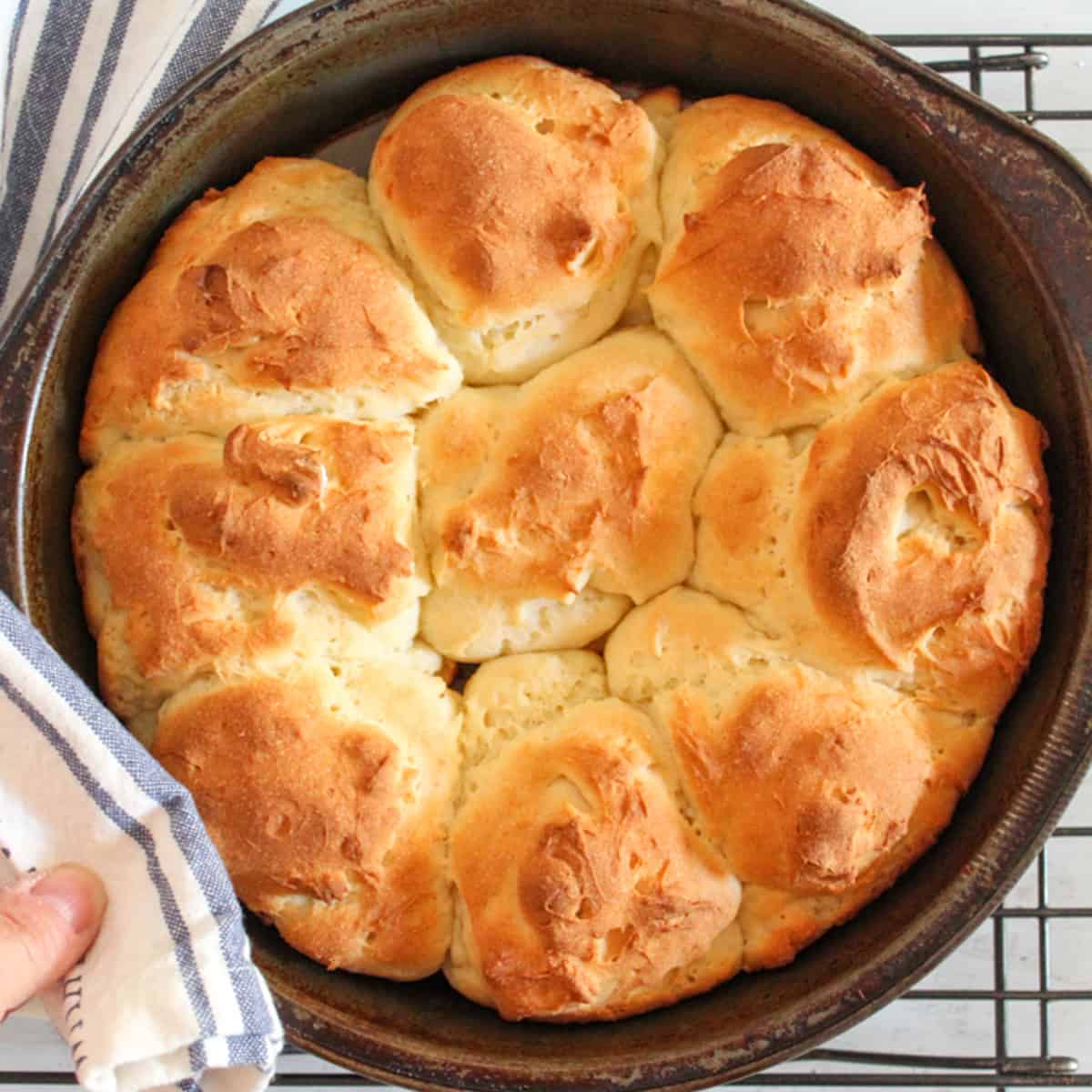 pan of baked dinner rolls