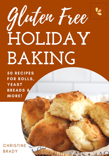 cover of holiday baking cookbook
