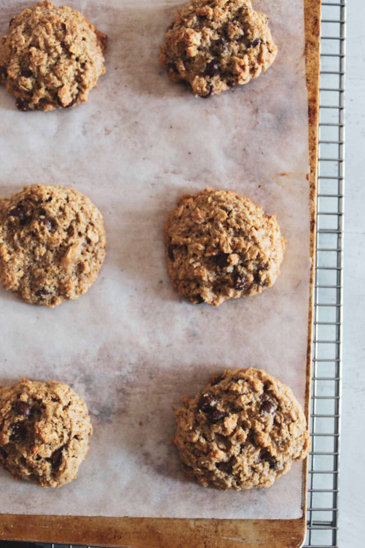 baking pan with baked cookies