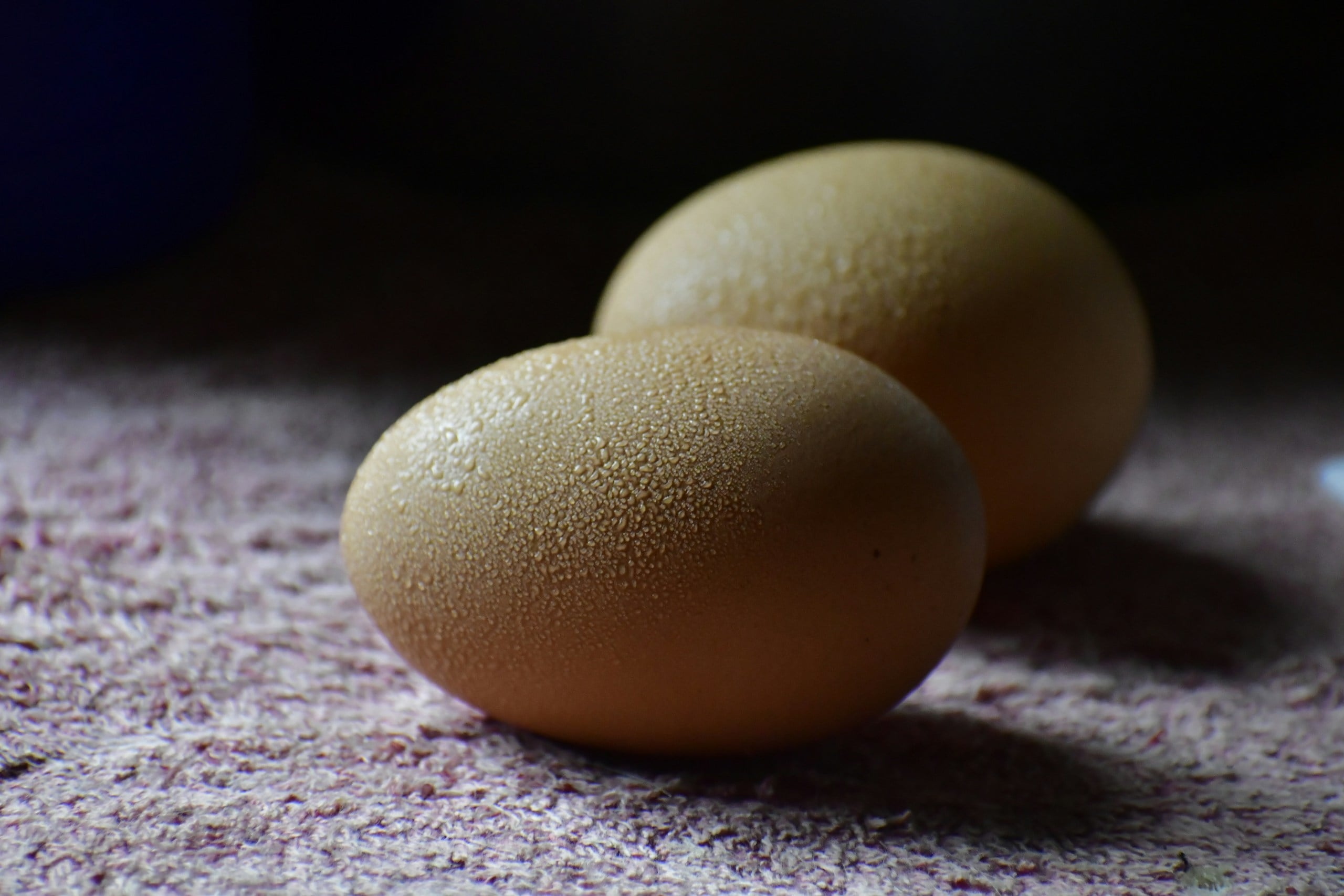 two cold eggs