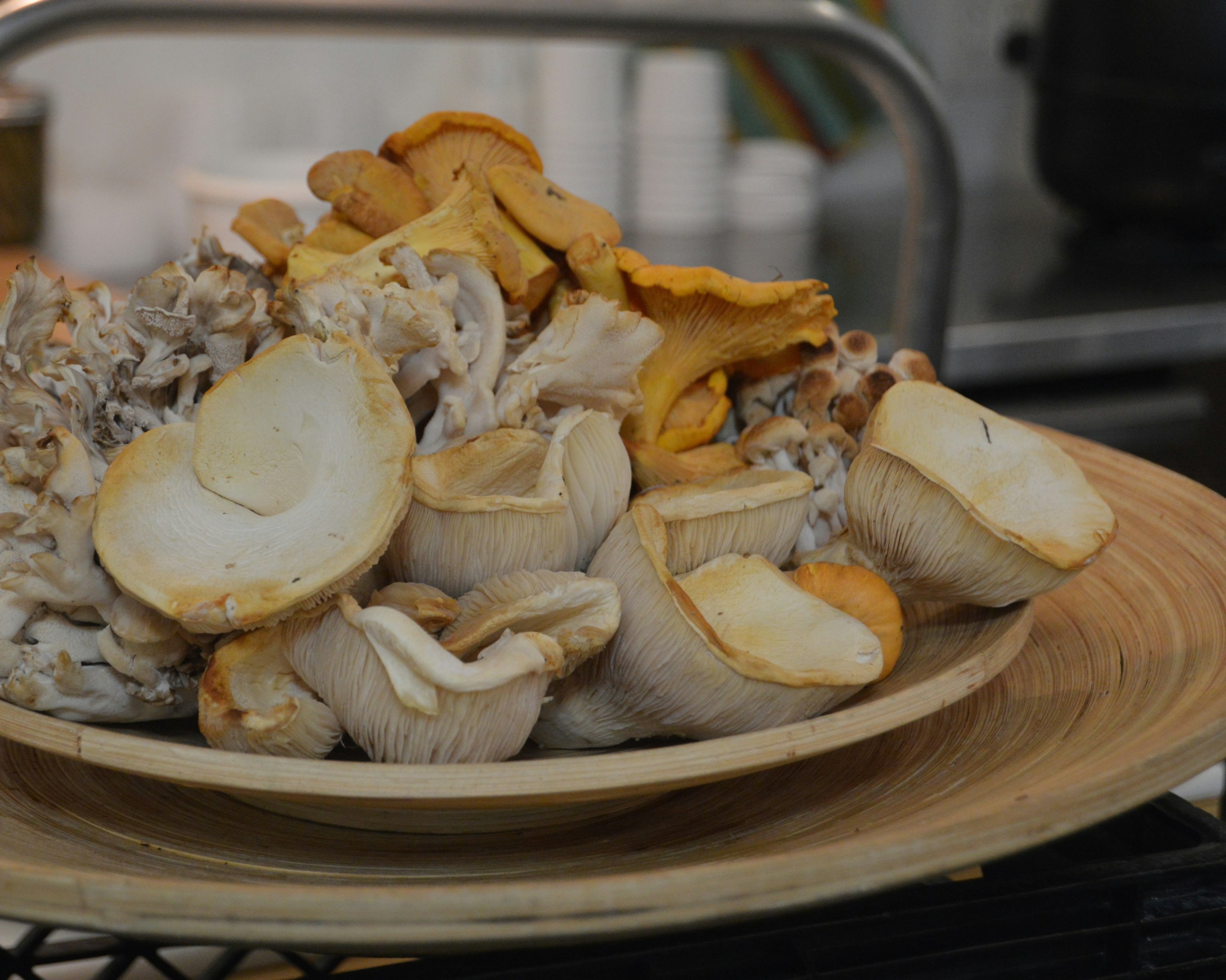 Mushroom in a bowl