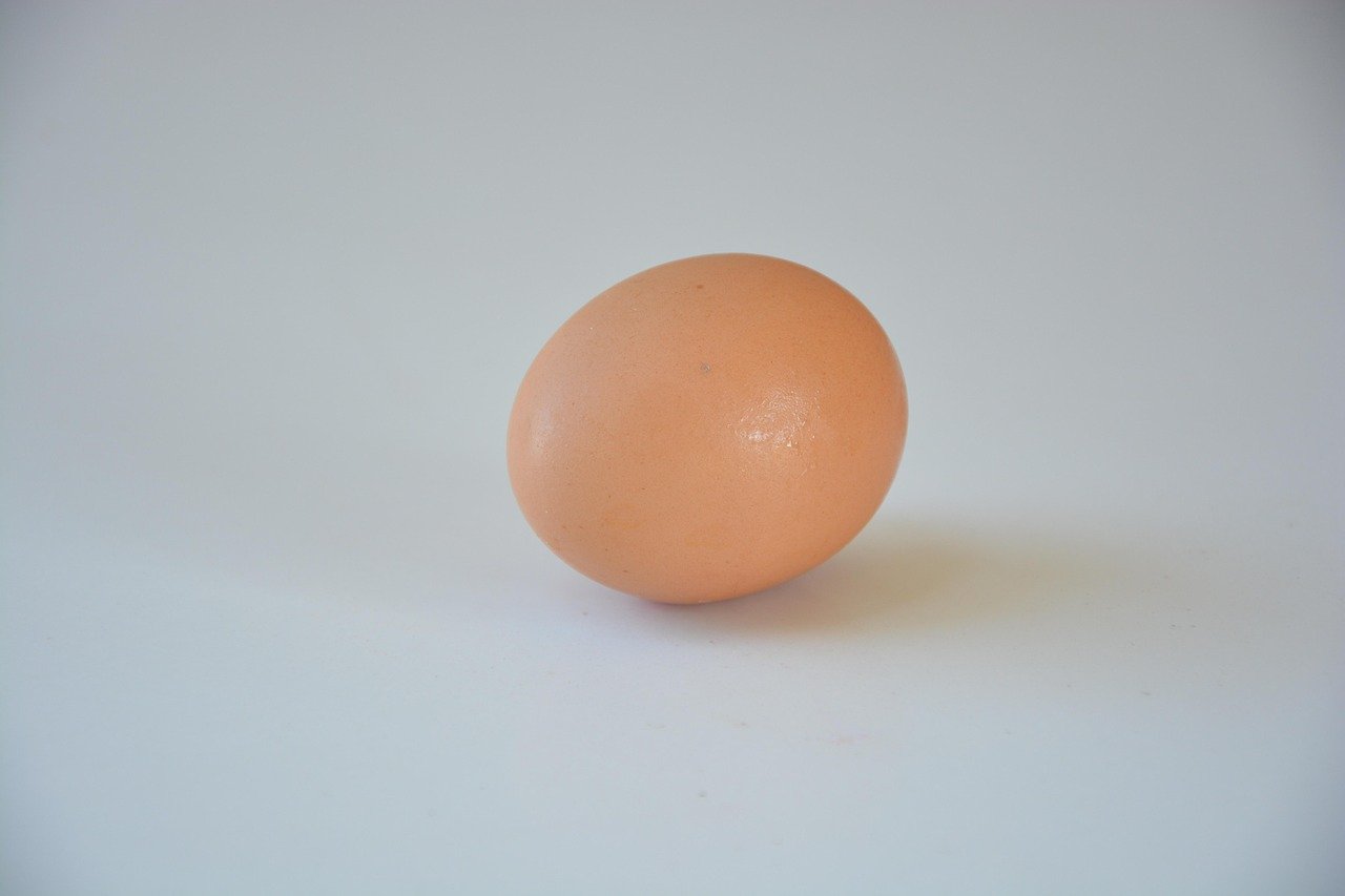 An egg on a white surface