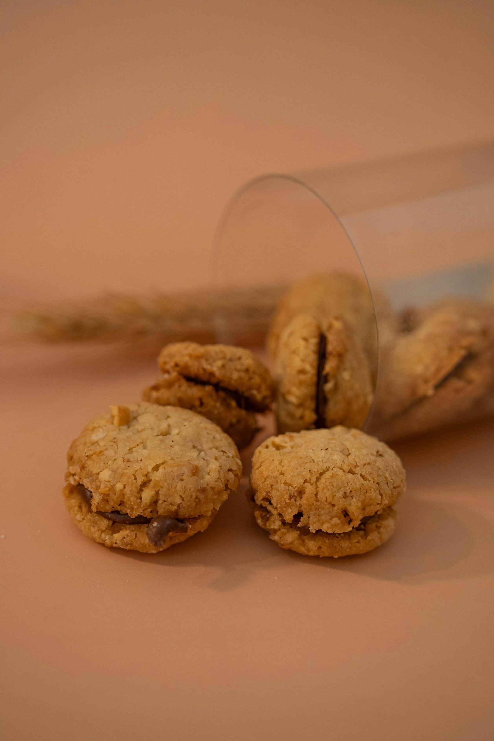 Oat flour biscuit wth chocolate
