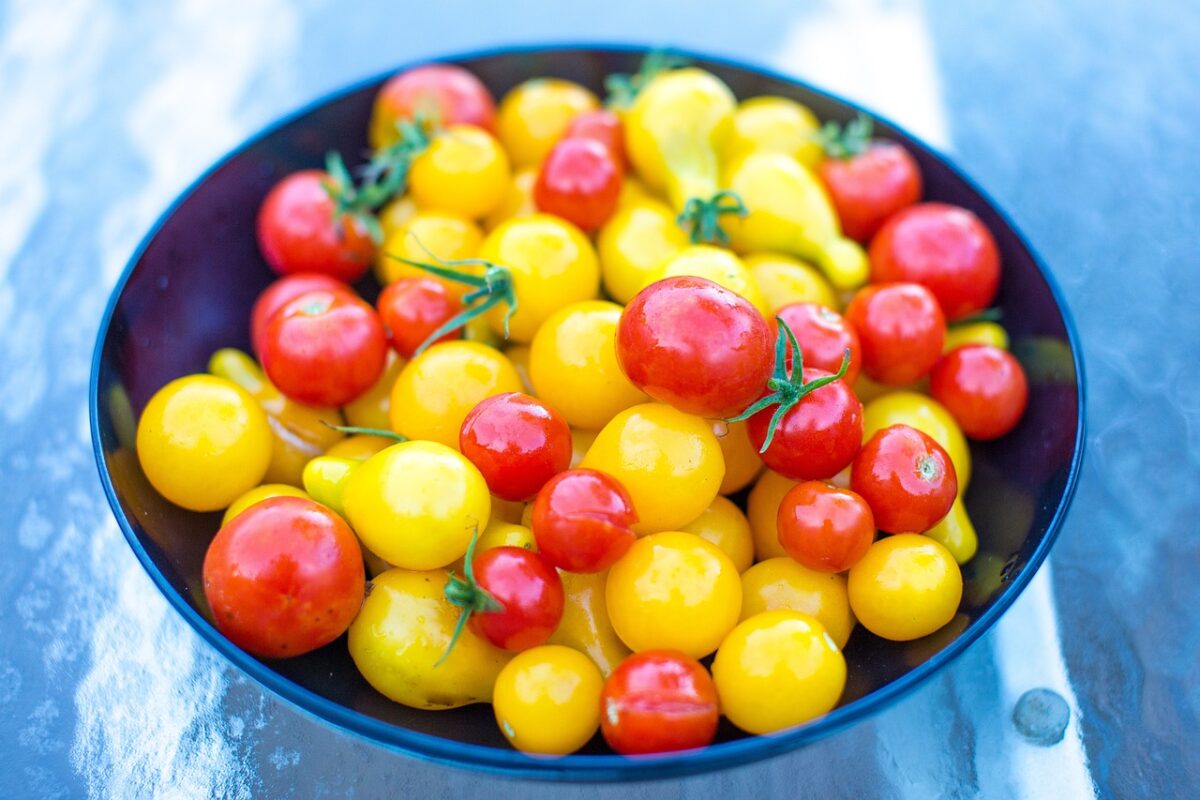tomatoes, red, yellow, bowl, vegetable, fruit, nature, garden, harvest, healthy, fresh, nutrition, farm, vegan