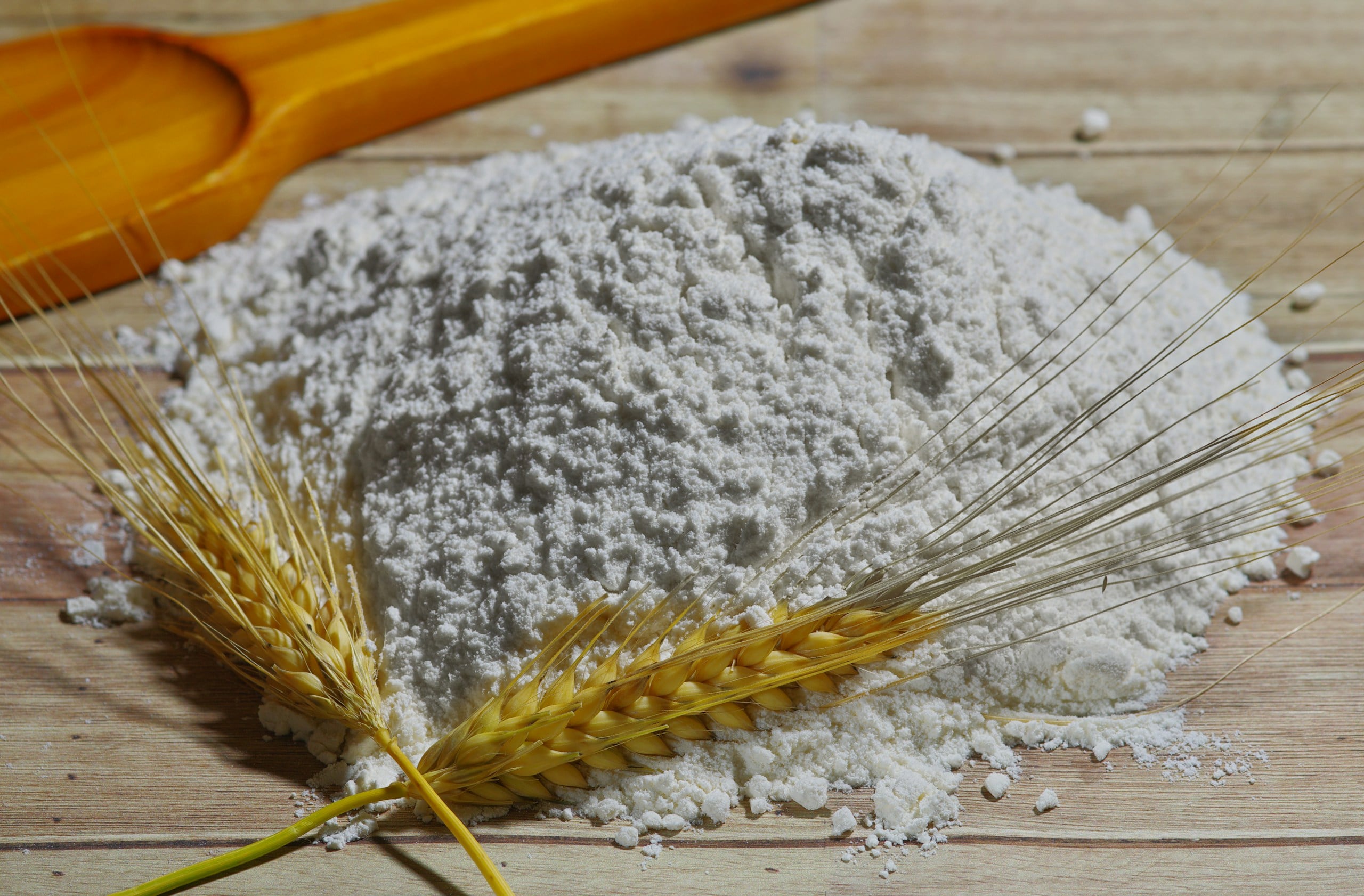 wheat flour