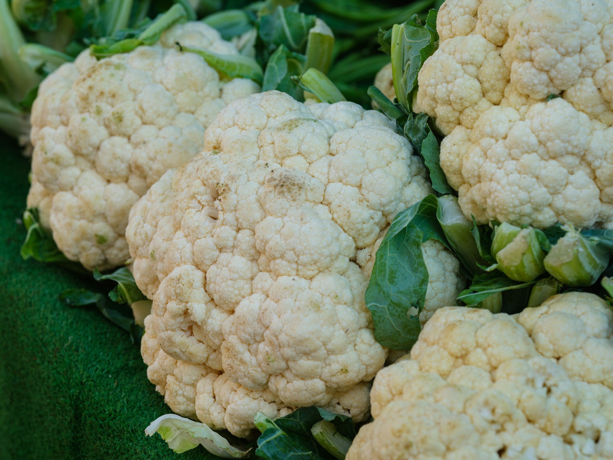 fresh cauliflower in the market