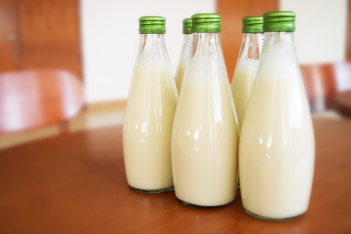 milk, drink, healthy, drinking, milk, milk, milk, milk, milk